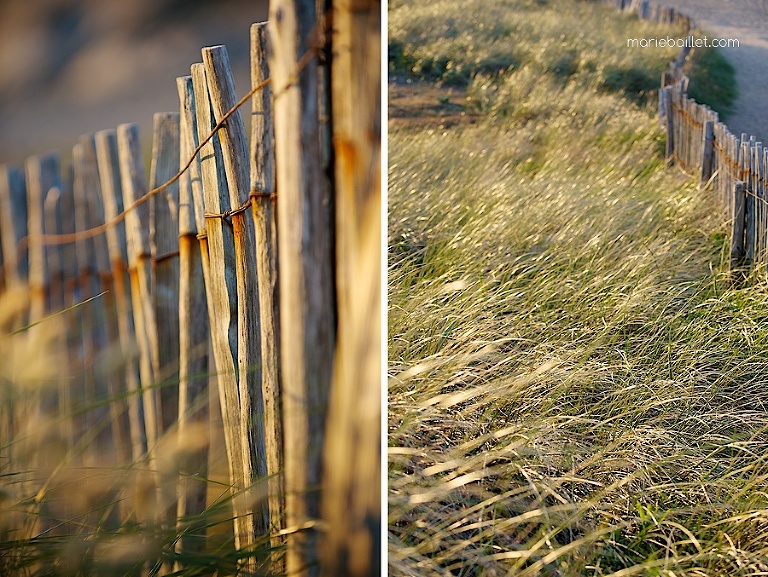 shooting séance amoureux à la plage par Marie Baillet photographe en Bretagne