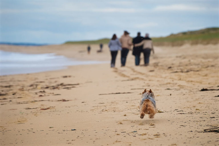 photographe famille et couple Morbihan